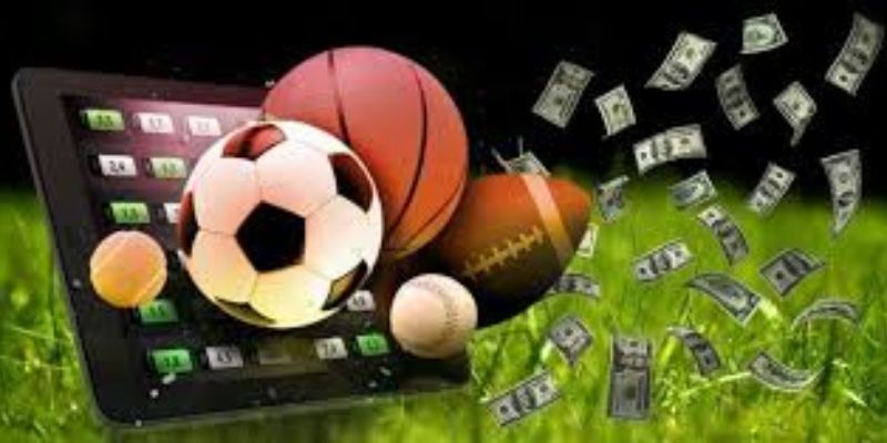 Apostas esportivas VIPgame